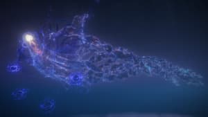 Maris (Augur) — The Tidal Sorcerer